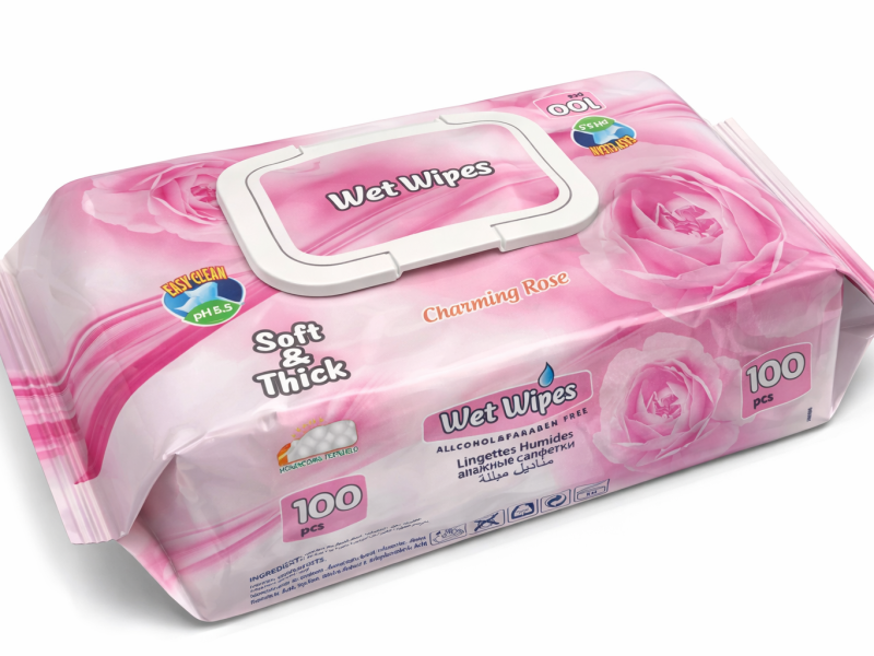 file_00000000e6fc7246adb31da67f399327